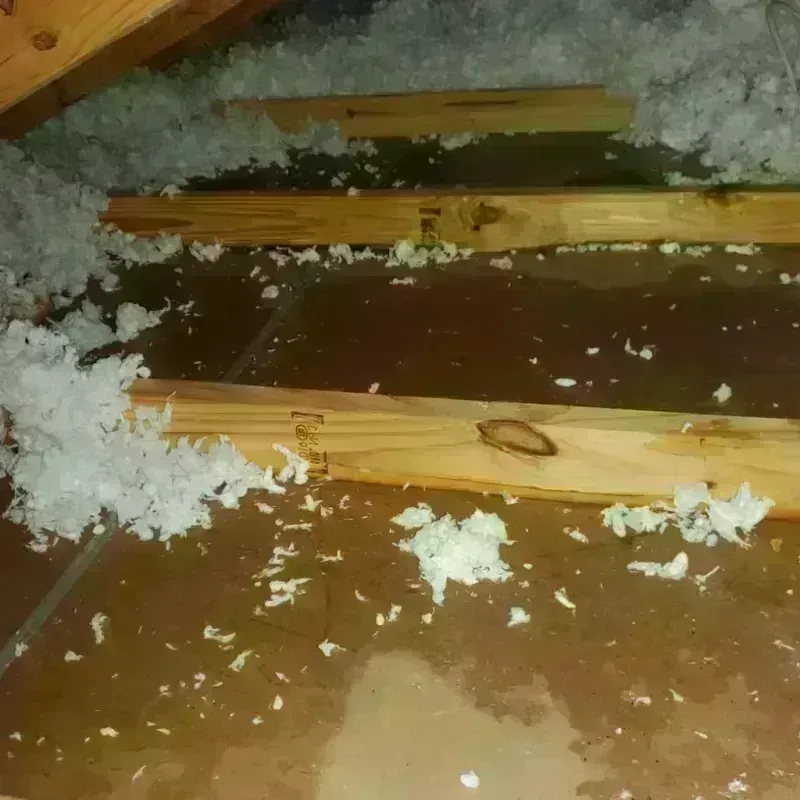 Attic Water Damage in Ferrum, VA